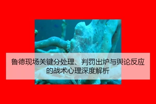鲁德现场关键分处理、判罚出炉与舆论反应的战术心理深度解析 - Kaiyun
